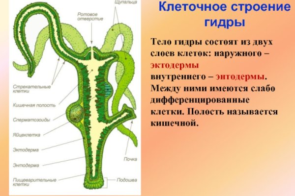 Kraken21 at сайт
